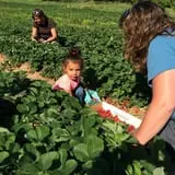 Dressel Farms photo