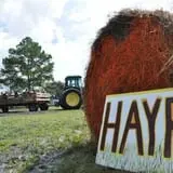 Maze Dayz Fall Festival photo