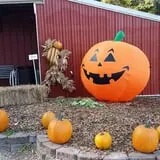 Meert Tree Farm Pumpkin Patch photo