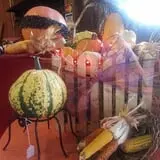 Meert Tree Farm Pumpkin Patch photo