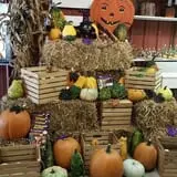 Meert Tree Farm Pumpkin Patch photo