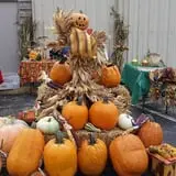 Meert Tree Farm Pumpkin Patch photo