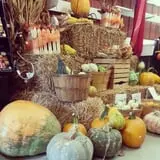 Meert Tree Farm Pumpkin Patch photo