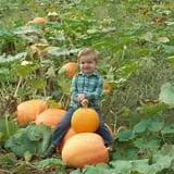 Meert Tree Farm Pumpkin Patch photo