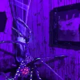 The Haunting On Virginia Avenue photo