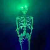 The Haunting On Virginia Avenue photo