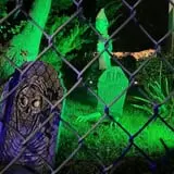 The Haunting On Virginia Avenue photo