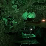 The Swamp at Shady Pines Manor photo
