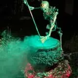 The Swamp at Shady Pines Manor photo