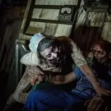 Brighton Asylum photo