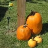 Grandma's Little Acre photo