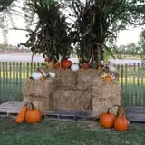 Grandma's Little Acre photo