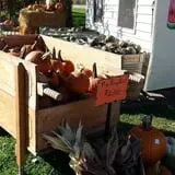 Grandma's Little Acre photo