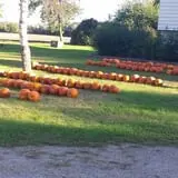 Grandma's Little Acre photo