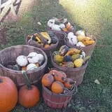 Grandma's Little Acre photo