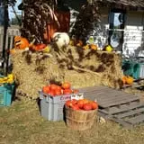 Grandma's Little Acre photo