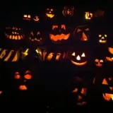 Pocatello Corn Maze - Swore Farms photo