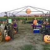 Pocatello Corn Maze - Swore Farms photo