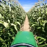 Pocatello Corn Maze - Swore Farms photo