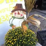 Pocatello Corn Maze - Swore Farms photo