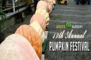 Jared's Pumpkin Patch