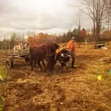 Winterberry Farm photo