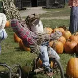Winterberry Farm photo