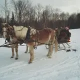 Winterberry Farm photo