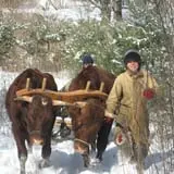Winterberry Farm photo