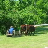 Winterberry Farm photo