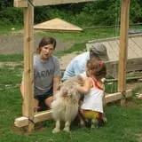 Winterberry Farm photo