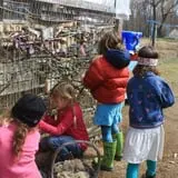 Winterberry Farm photo