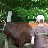 Winterberry Farm photo