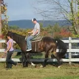 Barden Farm photo