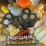 Barden Farm photo