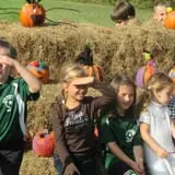 Barden Farm photo