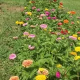 Barden Farm photo