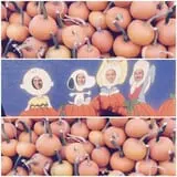 Barden Farm photo
