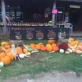 Barden Farm photo