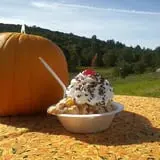 Barden Farm photo
