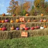 Barden Farm photo