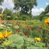 Barden Farm photo