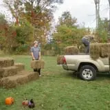Barden Farm photo