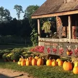 Barden Farm photo