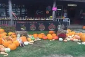 Barden Farm