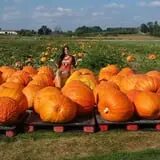 Morse Brothers Farms photo