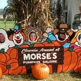 Morse Brothers Farms photo