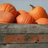 Morse Brothers Farms photo