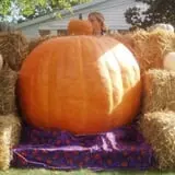 Morse Brothers Farms photo