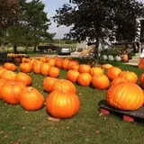 Morse Brothers Farms photo